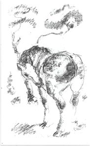 Marc - Stehendes Pferd