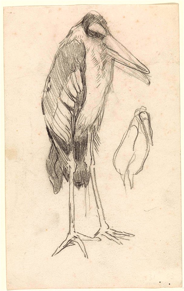 Maraboe