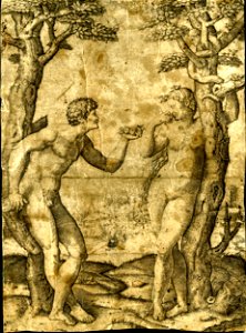 Marcantonio - Adam holding out the fruit to Eve, who leans against a tree around which the serpent, with a female head, is wrapped. c.1512-14, V,4.17