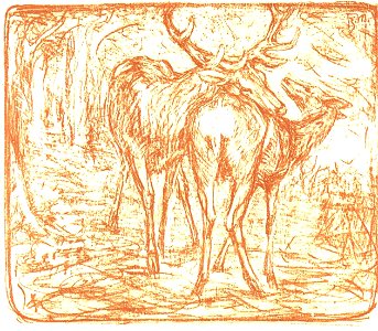 Marc - Hirsche