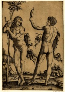 Marcantonio - A young nude male standing at left leaning on the trunk of a young tree facing another nude male, H,3.27