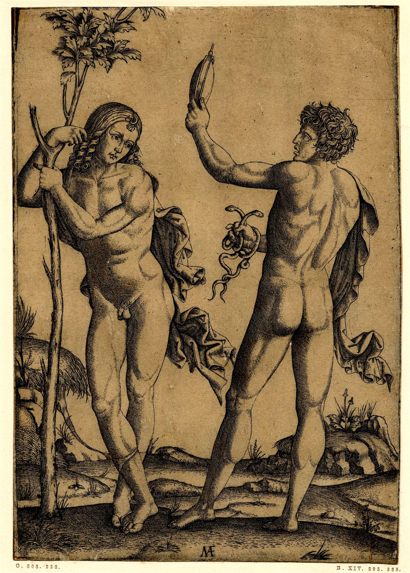 Marcantonio - A young nude male standing at left leaning on the trunk of a  young tree facing another nude male, H,3.27 - Traditional visual art under  Public domain license