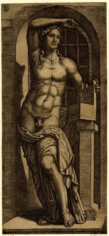 Marcantonio - A statue of Apollo, standing in contrapposto in a windowed niche with his right hand raised over his head and leaning on a lyre atop a pedestal with his left, H,2.85