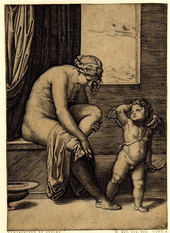 Marcantonio - Venus, nude, sitting at left drying her foot with a piece of drapery, Cupid, in front of her, holding a bow in his left hand and raising his right to his head, V,6.39