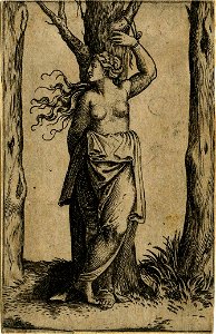 Marcantonio - After - Piccoli Santi (Small Saints), H,1.124