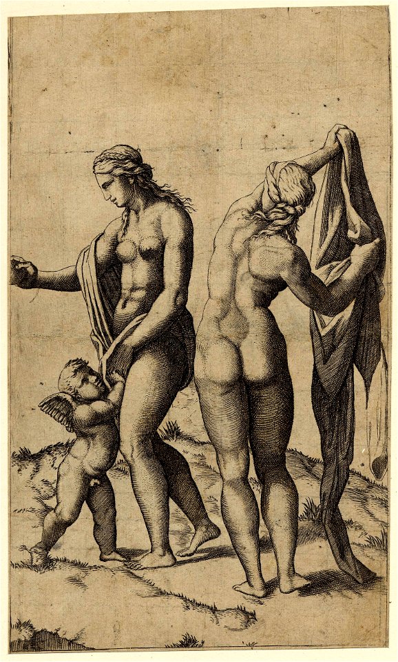 Marcantonio - Venus holding a globe in her right outstretched hand, Cupid below reaching up and holding her hand, Pallas Athena at right, 1841,0809.90