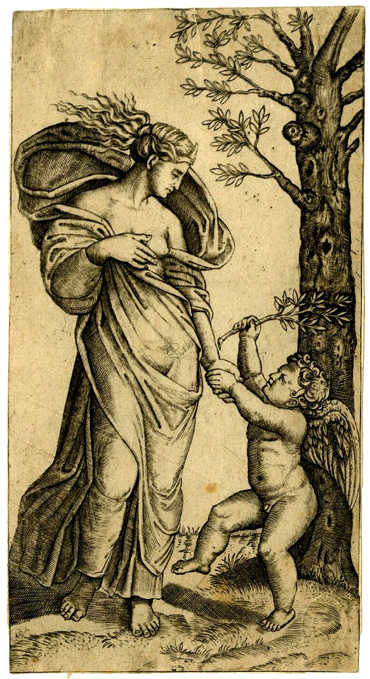 Marcantonio - After - Peace, personified as a woman standing in a landscape with a tree at right, H,3.38