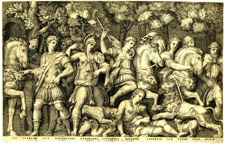 Marcantonio - A lion hunt with nine male and female armed figures, two of which are on horseback, H,3.48