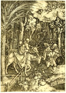 Marcantonio - The Life of the Virgin, H,3.174