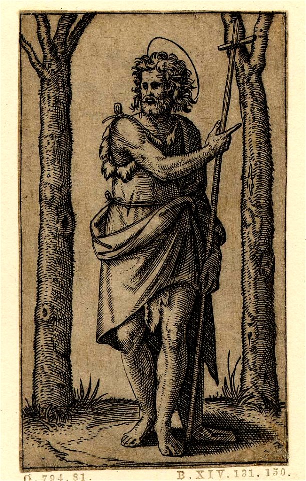 Marcantonio - St John the Baptist standing between two leafless trees holding a long stick mounted by a small cross in his left hand and gesturing to the right with his other, H,1.108