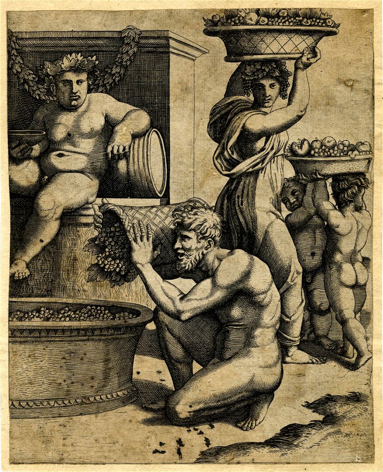 Marcantonio - After - The vintage season, 1874,0808.237