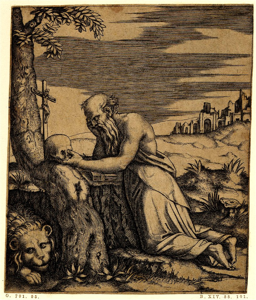 Marcantonio - St Jerome kneeling before a crucifix planted in a tree trunk; holding a skull in his left hand and supporting his chin with his right, H,1.57