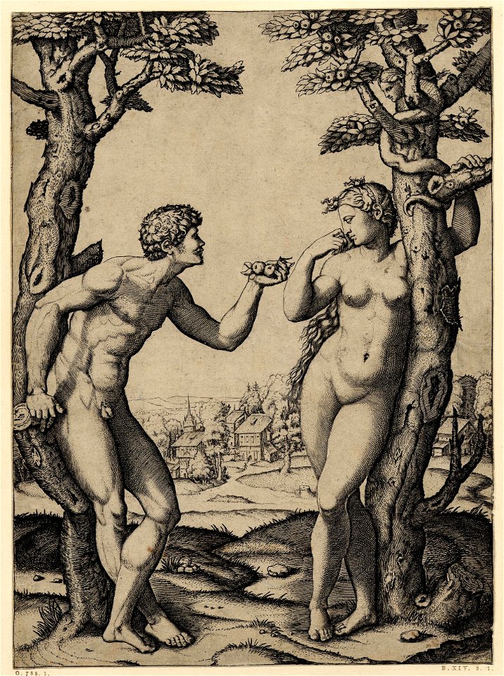 Marcantonio - Adam holding out the fruit to Eve, who leans against a tree around which the serpent, H,1.4