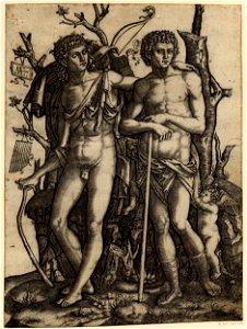 Marcantonio - Apollo, holding a stick in his right hand, H,2.99