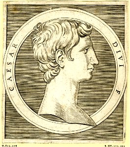Marcantonio - Roman Emperors, 1951,0407.135