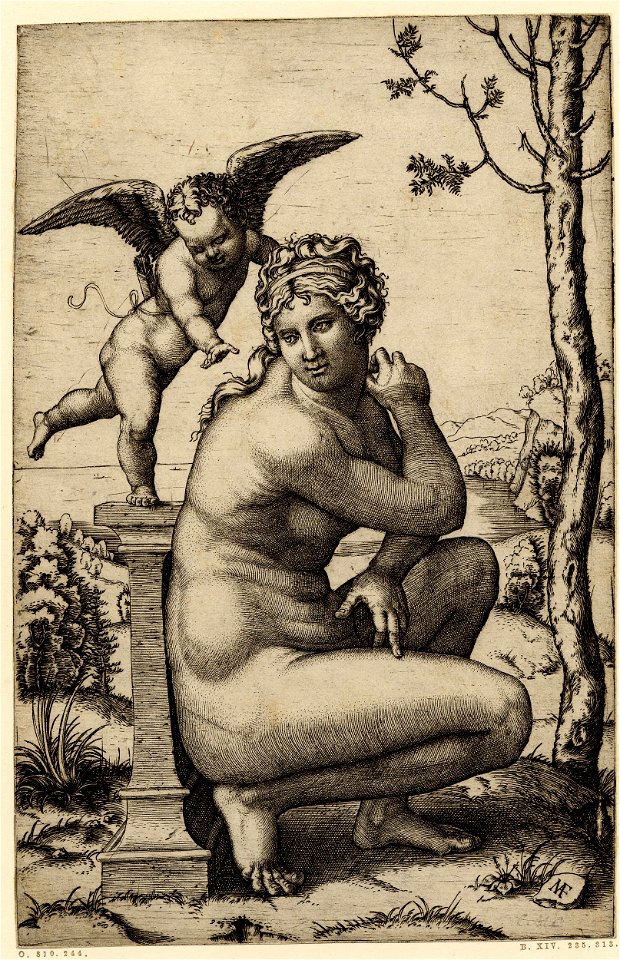 Marcantonio - Venus crouching against a pedestal at left upon which Cupid is standing, balancing on his right foot and leaning over towards his mother, a almost barren tree at right and a landscape beyond, H,2.68