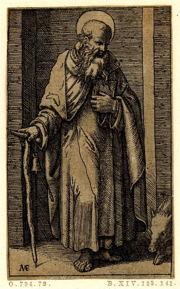 Marcantonio - St Anthony, the first hermit, holding a closed book against his chest with his left hand and leaning on a walking stick upon which is hung a bell, a pig at his left, H,1.96