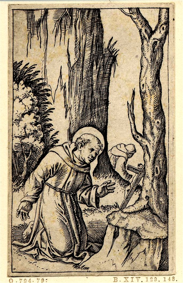 Marcantonio - St Francis of Assisi kneeling before a crucifix which is leaning against a tree trunk, 1870,0625.840