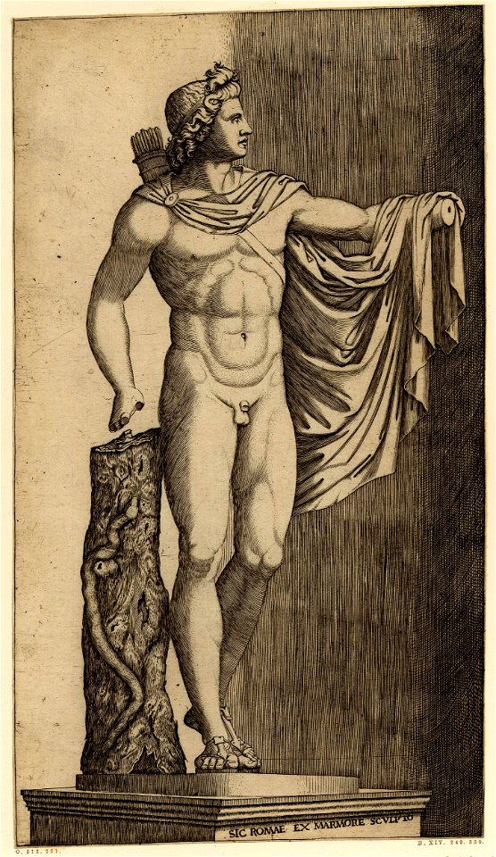 Marcantonio - The Apollo Belvedere from the Vatican standing on an inscribed pedestal, H,2.84