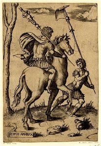 Marcantonio - Roman Cavaliers, H,2.4
