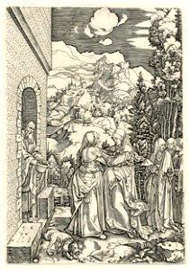Marcantonio - The Life of the Virgin, 1860,0414.471