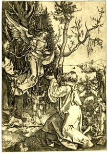 Marcantonio - The Life of the Virgin, H,3.163