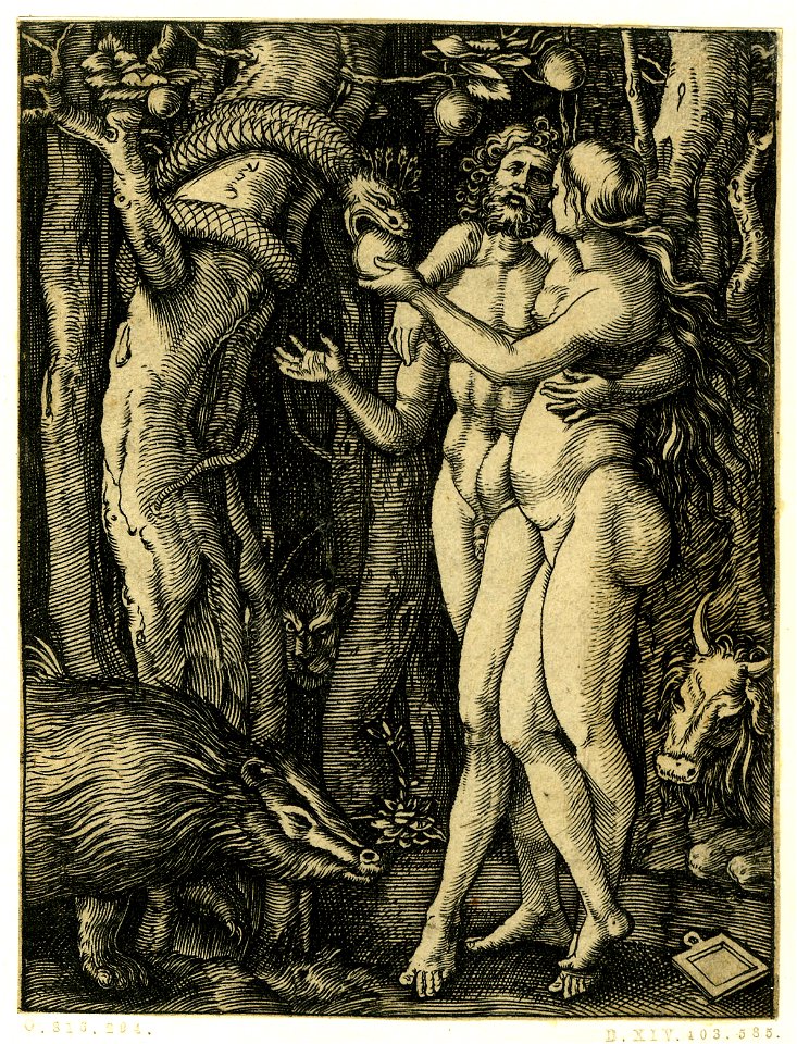 Marcantonio - The Passion of Christ, H,3.126