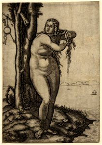 Marcantonio - Venus wringing the water from her hair, standing at the water's edge, 1948,0710.4