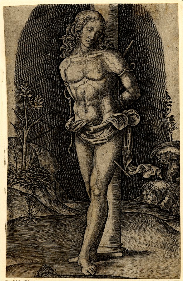 Marcantonio - St Sebastian standing tied to a column with his arms bound behind him, 1863,0725.52