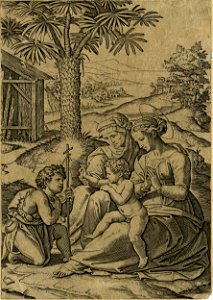 Marcantonio - The Virgin sitting on the ground with St Elizabeth at her right and the Christ Child in her lap blessing the young St John the Baptist who is kneeling in front of him, called 'Madonna of the palm tree', V,4.73