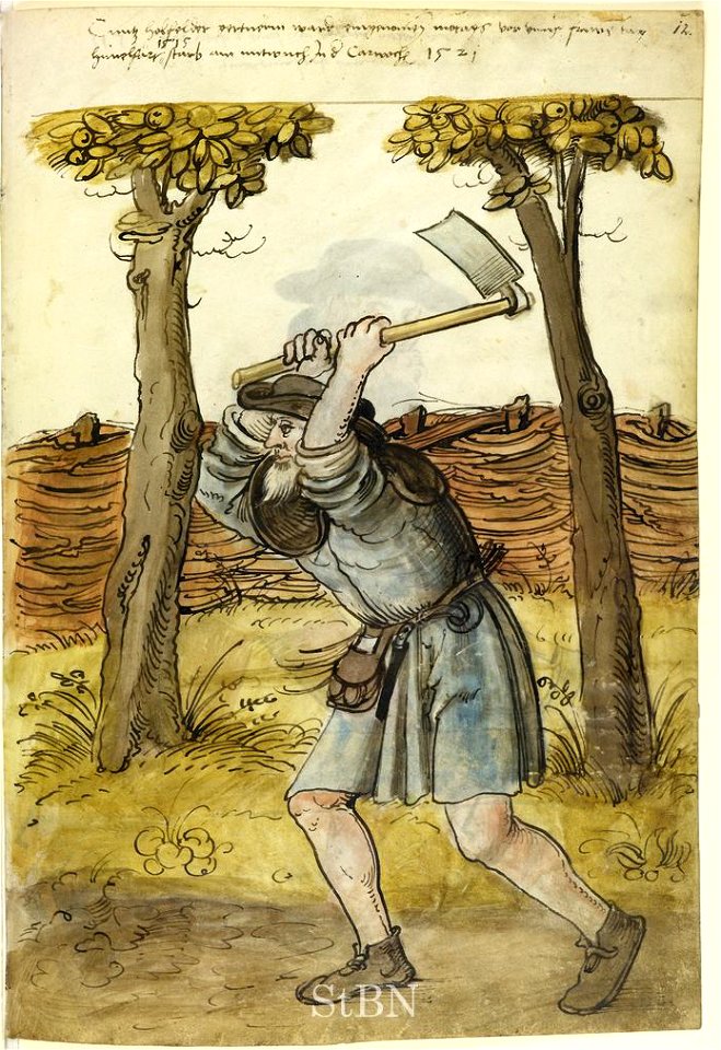 Landauer I 012 r