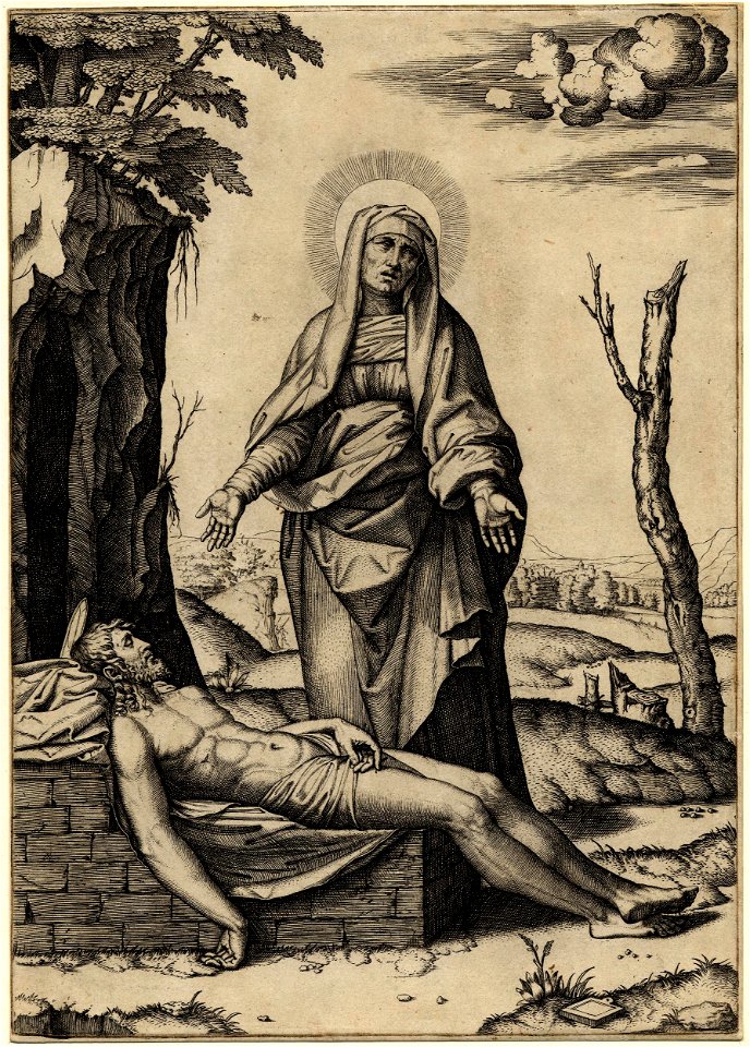 Marcantonio - The Virgin lamenting the dead Body of Christ, 1868,0822.27
