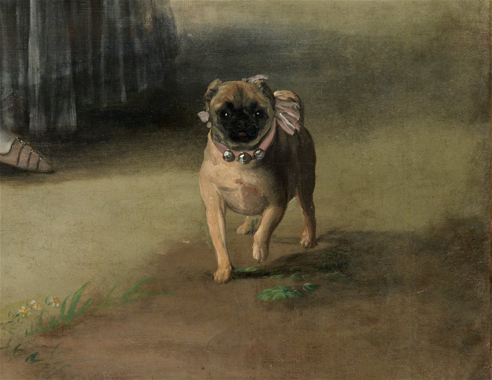 Marchioness of Pontejos por Goya (detail of dog)