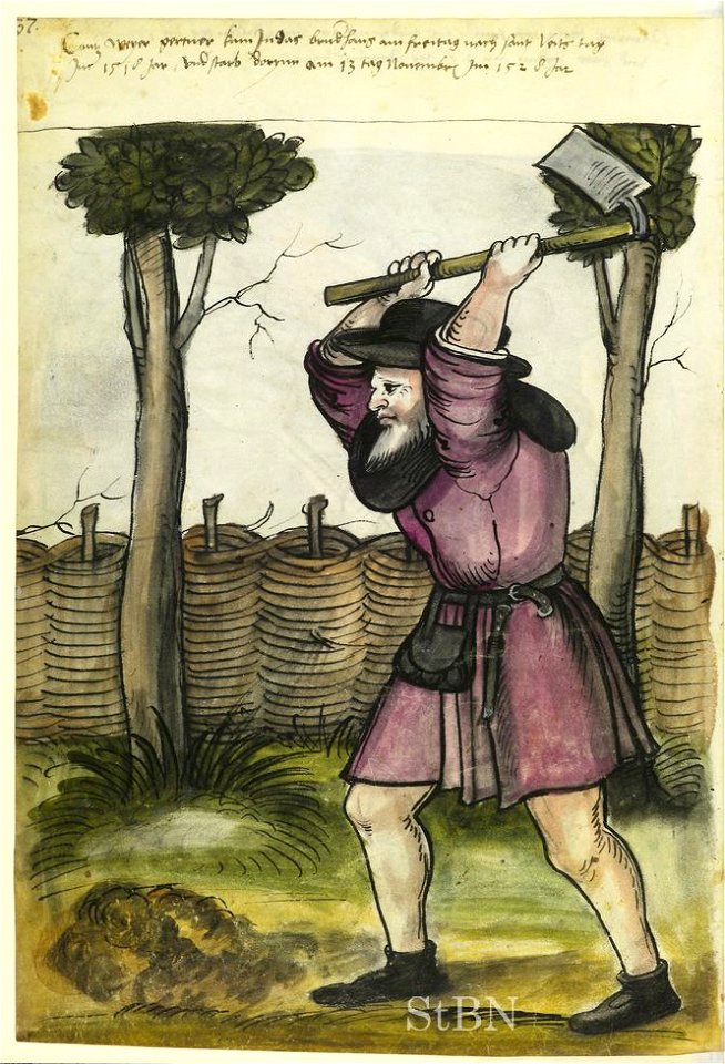 Landauer I 019 v