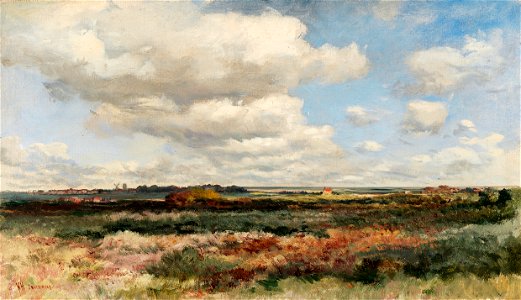 Landscape near Southwold P478