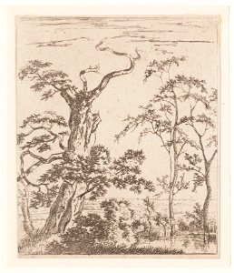 Landschap met bomen, objectnr A 16558