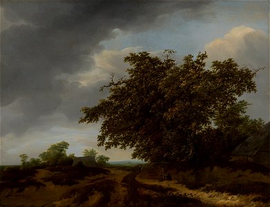 Landscape on the Edge of the Dunes by Jan Vermeer van Haarlem Mauritshuis 724