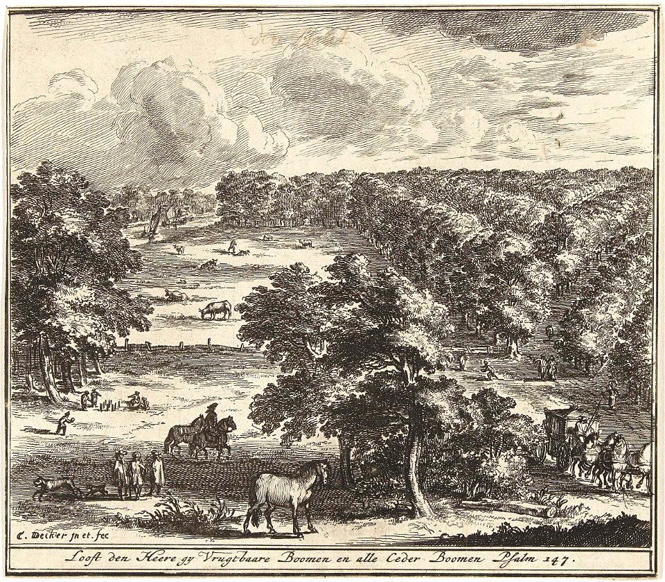 Landschap met bomen in vogelvluchtperspectief