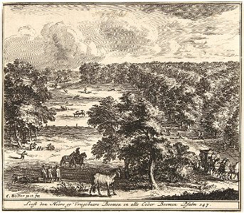 Landschap met bomen in vogelvluchtperspectief