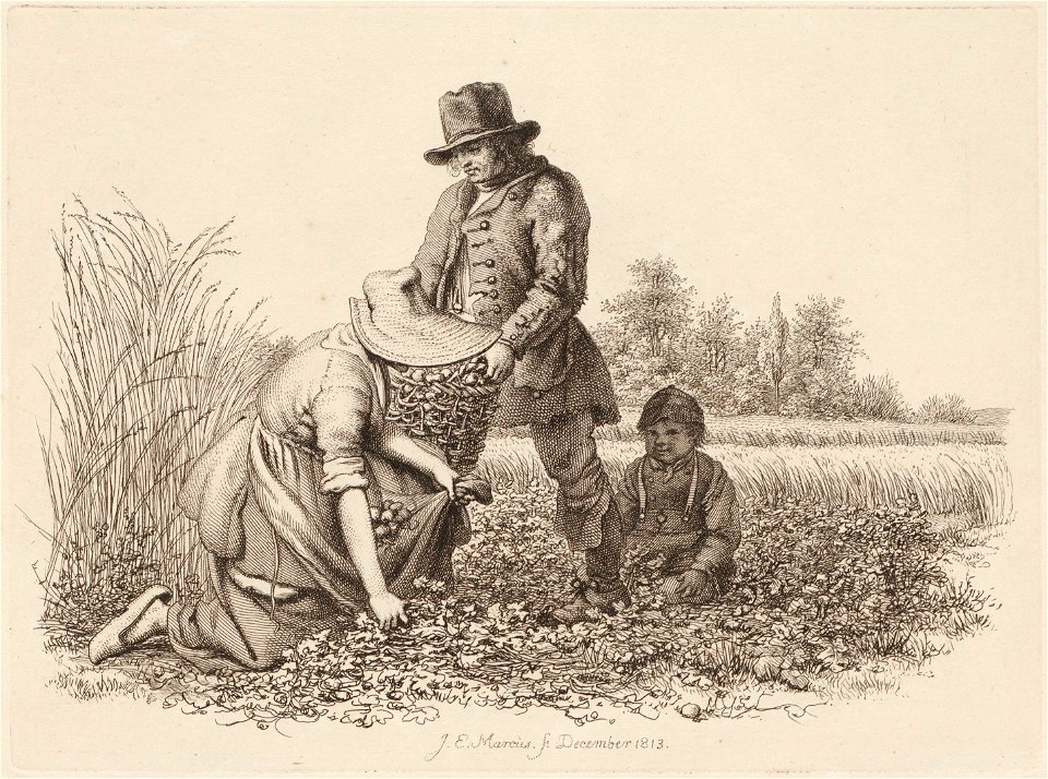 Landschap met korenveld, objectnr A 12595