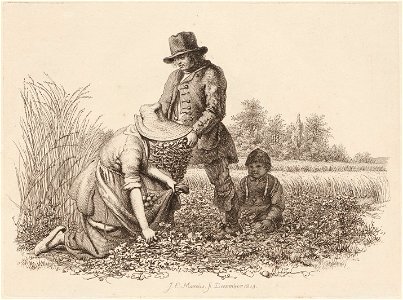 Landschap met korenveld, objectnr A 12595