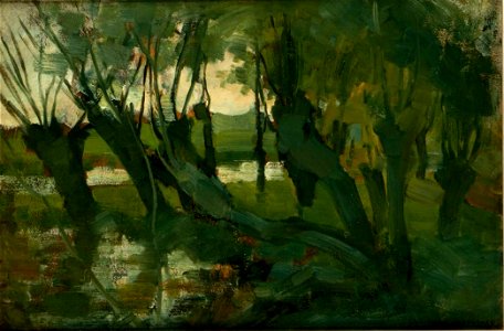Landschap met wilgen aan het Gein