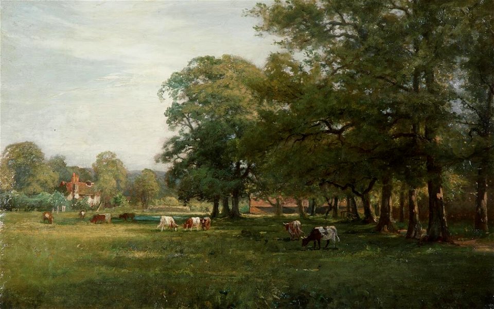 Landscape with cattle (4702536)