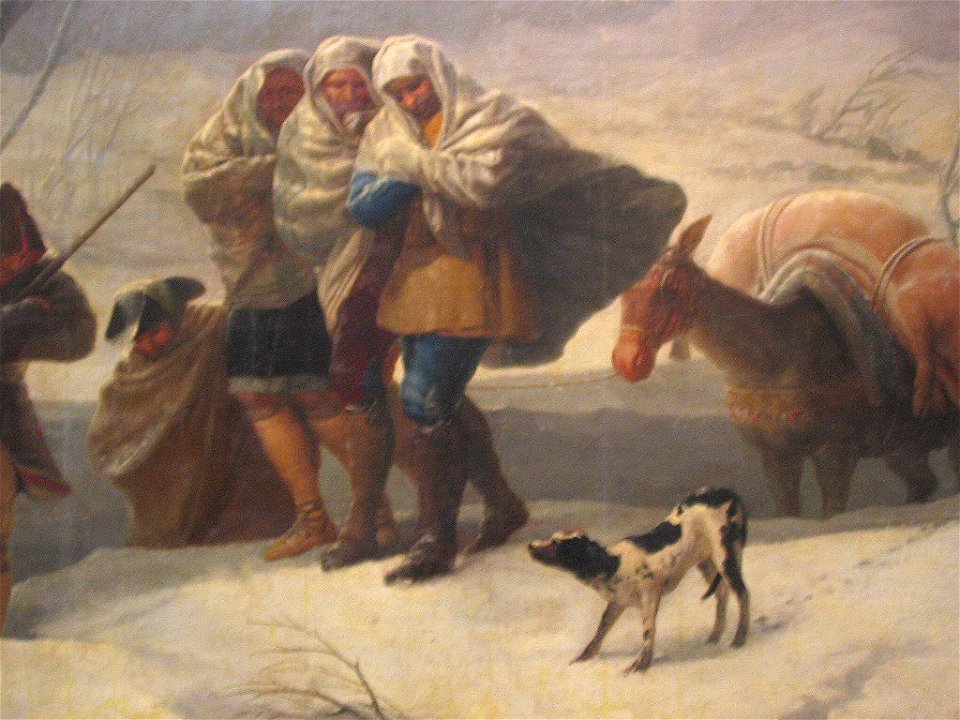 Lanevada Goya lou