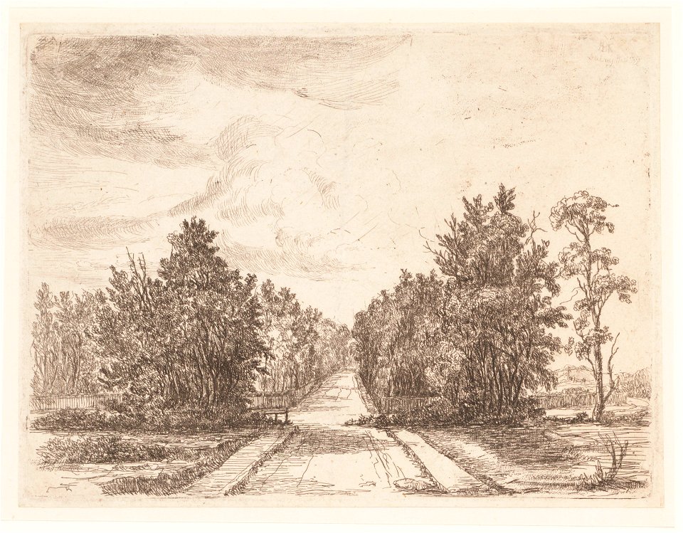 Landschap met in het midden een breed pad, objectnr A 16565