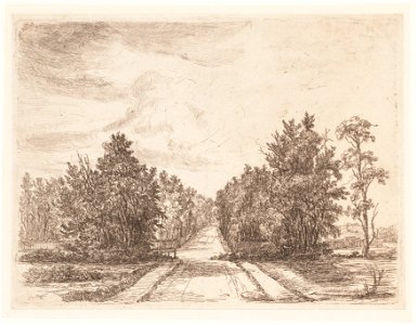 Landschap met in het midden een breed pad, objectnr A 16565