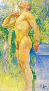Larsson midvinterblot studie 1914b