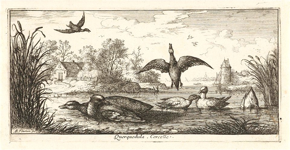 Landschap met eenden
