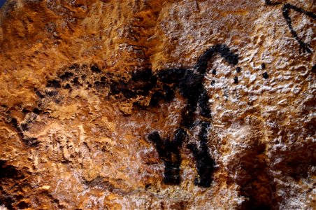 Lascaux-IV 18