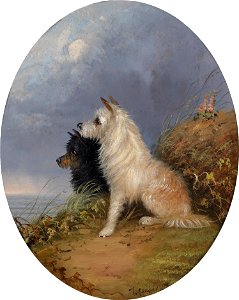 Langlois Zwei Hunde am Strand